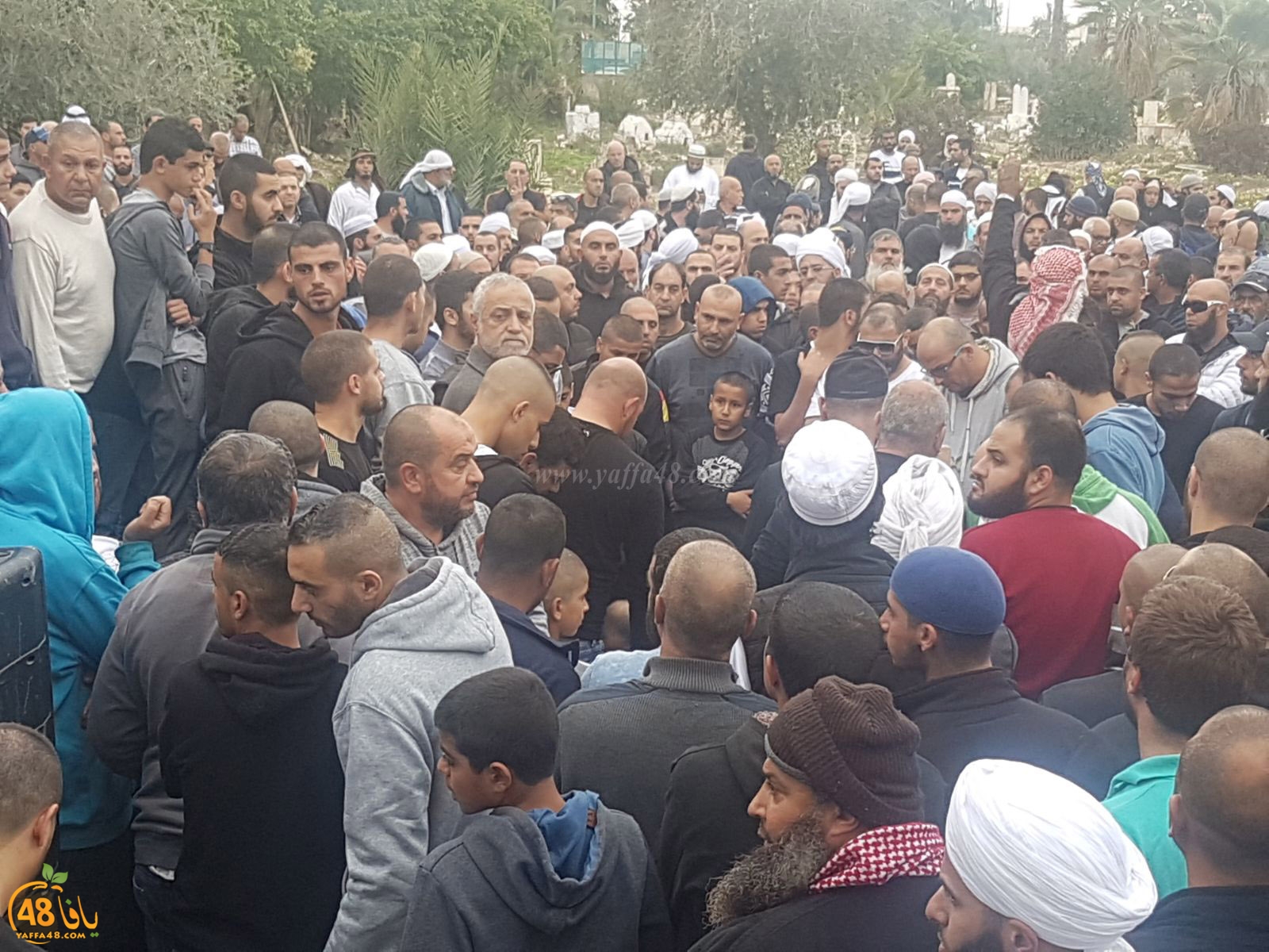 tasheeye3 om mhmoud (23).jpg